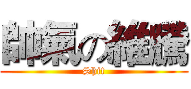 帥氣の維騰 (Shit)