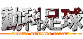 動科足球 (animal sciences soccer)