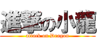 進撃の小龍 (attack on Dragon)