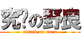 究擊の野良 (attack on nora)