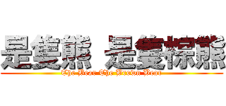 是隻熊 是隻棕熊 (The Bear The Brown Bear)