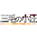 三毛の小汪 (sb's 牛B)