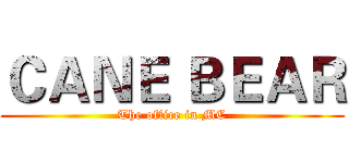ＣＡＮＥ ＢＥＡＲ (The office in MC)