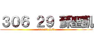 ３０６ ２９ 蘇聖凱 (306 29 SM)