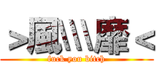＞風\\\靡＜ (fuck you bitch)