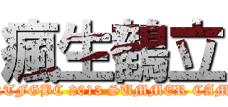 瘋生鶴立 (CKTFGBC 2013 SUMMER CAMP)