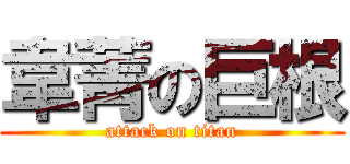 韋菁の巨根 (attack on titan)