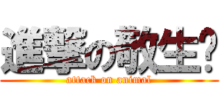 進撃の敬生	 (attack on animal)
