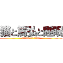 猫と篤弘と睡眠 (attack on titan)