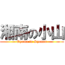 湘南の小山 (Oyama in Syonan)