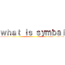 ｗｈａｔ ｉｓ ｓｙｍｂａｌ ()