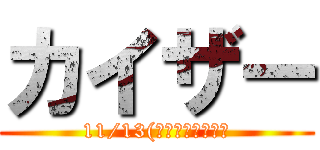 カイザー (11/13(土）　中間報告会)