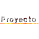 Ｐｒｏｙｅｃｔｏ  (Trimestral Final )