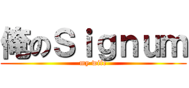 俺のＳｉｇｎｕｍ (my wife)