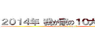 ２０１４年 我が家の１０大ニュース (2014 Ranking Top 10)