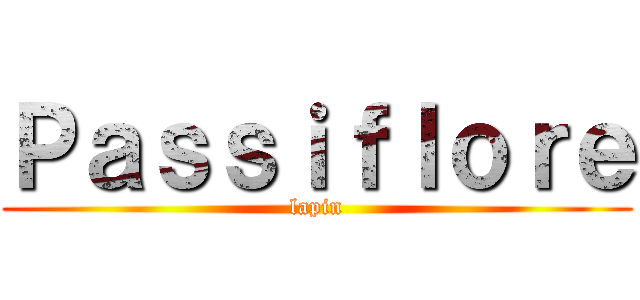 Ｐａｓｓｉｆｌｏｒｅ (lapin)