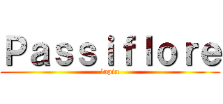 Ｐａｓｓｉｆｌｏｒｅ (lapin)