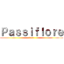 Ｐａｓｓｉｆｌｏｒｅ (lapin)