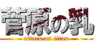 菅原の乳 (attack on titan)