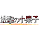 进擊の小果子 (SmallfruitCentury)