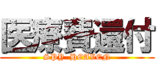 医療費還付 (SPY  HEAVEN)