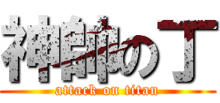 神帥の丁 (attack on titan)
