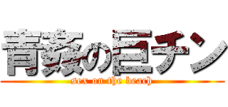 青姦の巨チン (sex on the beach)