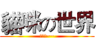 貓咪の世界 (喵喵喵~~)