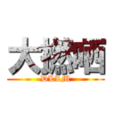 大撚哂 (DLLM)