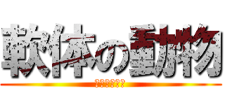 軟体の動物 (人間ではない)