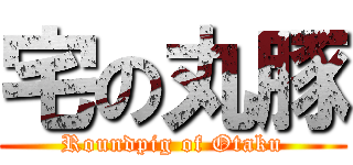 宅の丸豚 (Roundpig of Otaku)