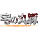 宅の丸豚 (Roundpig of Otaku)