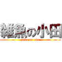 雑魚の小田 (zako no oda)