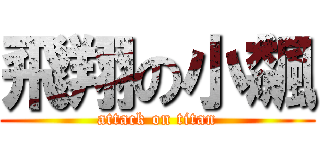 飛翔の小飆 (attack on titan)