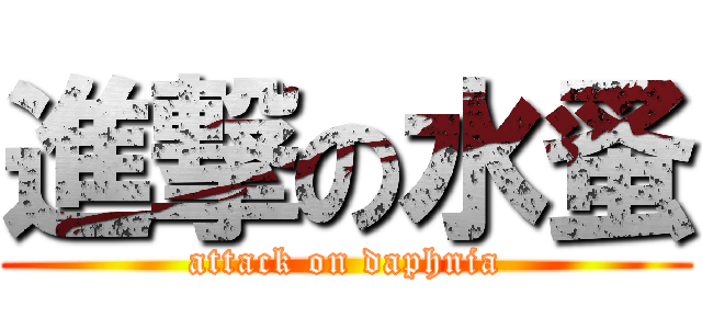 進撃の水蚤 (attack on daphnia)