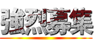 強烈募集 ()