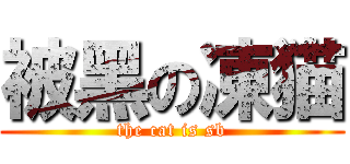 被黑の凍猫 (the cat is sb)