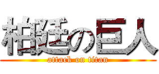柏廷の巨人 (attack on titan)
