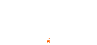  (頑疾的Zoe)
