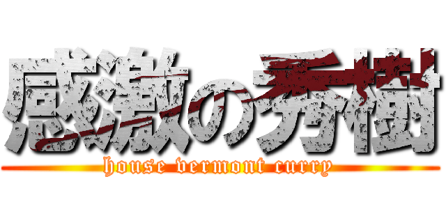 感激の秀樹 (house vermont curry)