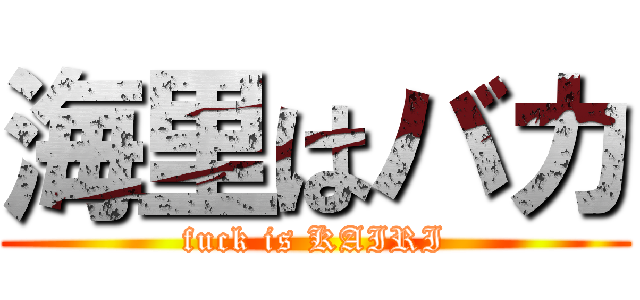 海里はバカ (fuck is KAIRI)