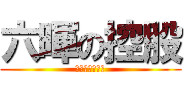 六暉の控股 (募集開催上市中)