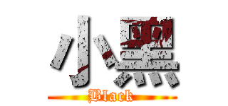 小黑 (Black)