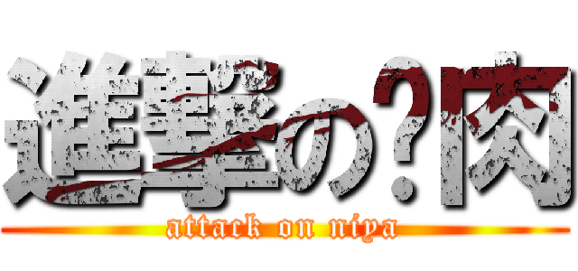 進撃の貓肉 (attack on niya)