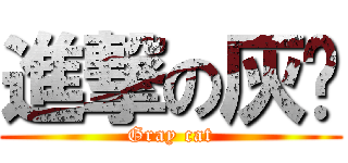 進撃の灰貓 (Gray cat)