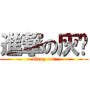 進撃の灰貓 (Gray cat)