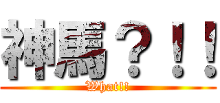 神馬？！！ (What!!)