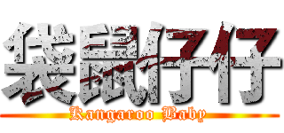 袋鼠仔仔 (Kangaroo Baby)