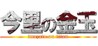 今里の金玉 (imazato on titan)
