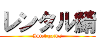 レンタル鯖 (Intel gains)